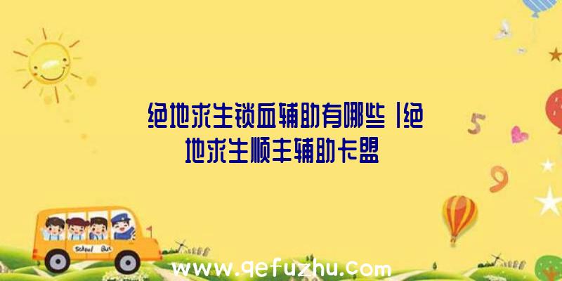 「绝地求生锁血辅助有哪些」|绝地求生顺丰辅助卡盟